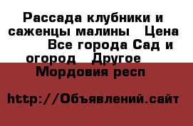 Рассада клубники и саженцы малины › Цена ­ 10 - Все города Сад и огород » Другое   . Мордовия респ.